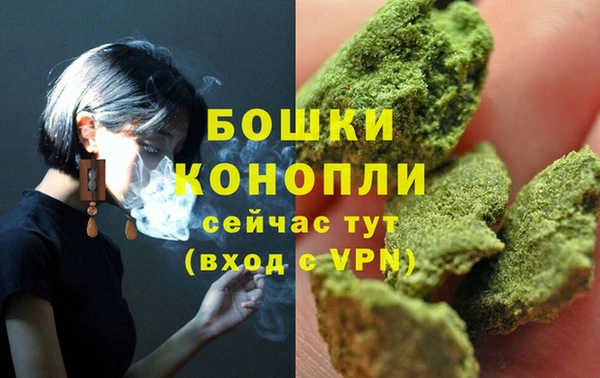 индика Беломорск