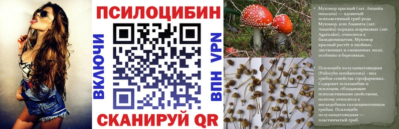 Галлюциногенные грибы Magic Shrooms  Купить где  Нестеров 